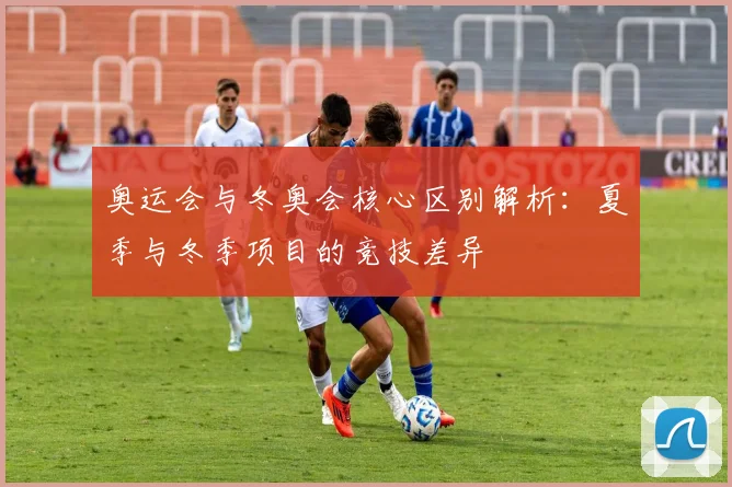 奥运会与冬奥会核心区别解析：夏季与冬季项目的竞技差异